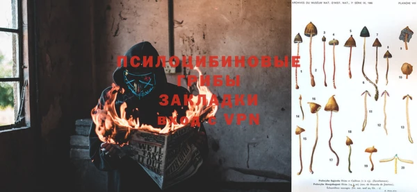 стафф Бронницы
