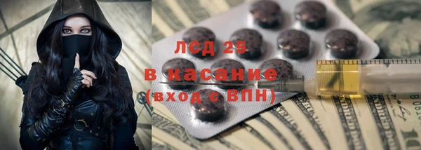 стаф Бородино