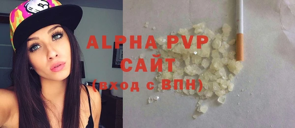 стаф Бородино
