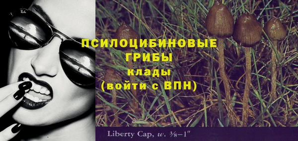 стафф Бронницы