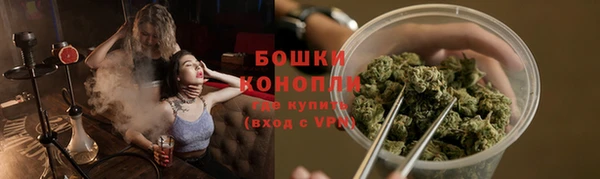 стаф Бородино