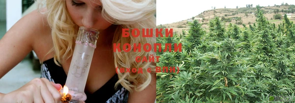 стаф Бородино