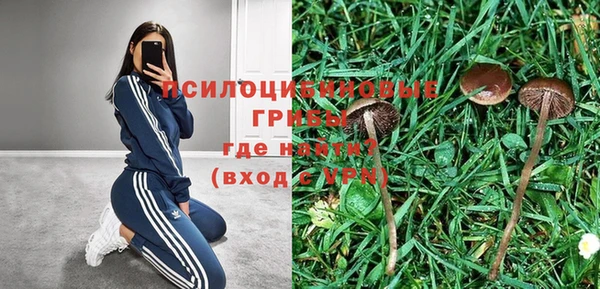 стафф Бронницы