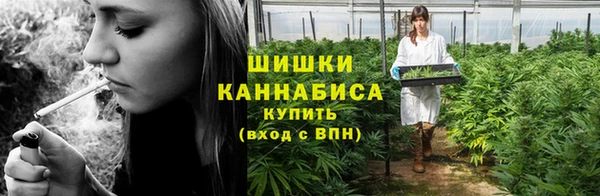 стаф Бородино