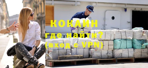 стаф Бородино