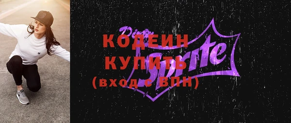 стаф Бородино